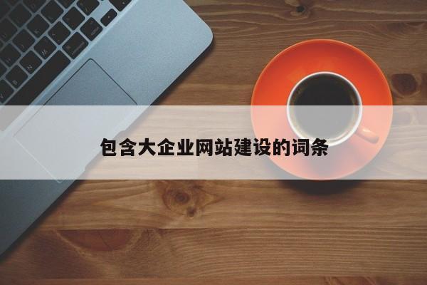 包含大企業(yè)網(wǎng)站建設的詞條