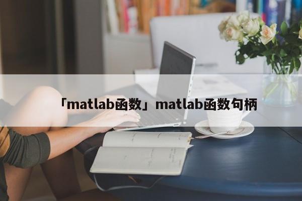 「matlab函數(shù)」matlab函數(shù)句柄