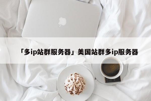 「多ip站群服務器」美國站群多ip服務器