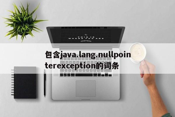 包含java.lang.nullpointerexception的詞條