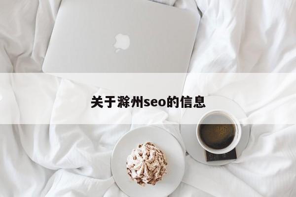 關于滁州seo的信息