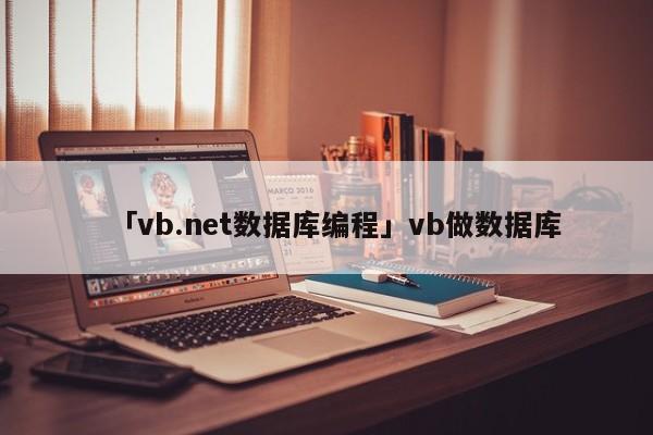 「vb.net數(shù)據(jù)庫(kù)編程」vb做數(shù)據(jù)庫(kù)