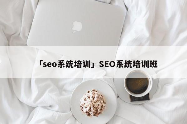 「seo系統(tǒng)培訓(xùn)」SEO系統(tǒng)培訓(xùn)班