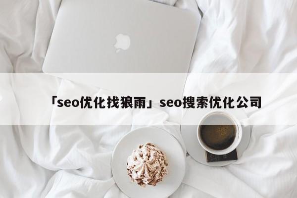 「seo優(yōu)化找狼雨」seo搜索優(yōu)化公司