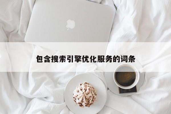 包含搜索引擎優(yōu)化服務(wù)的詞條