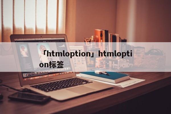 「htmloption」htmloption標(biāo)簽