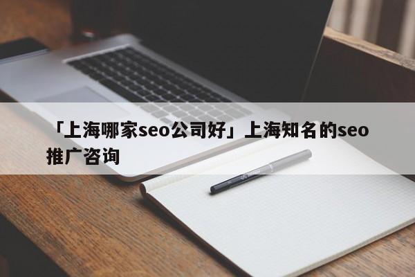 「上海哪家seo公司好」上海知名的seo推廣咨詢