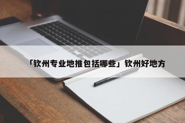 「欽州專業(yè)地推包括哪些」欽州好地方