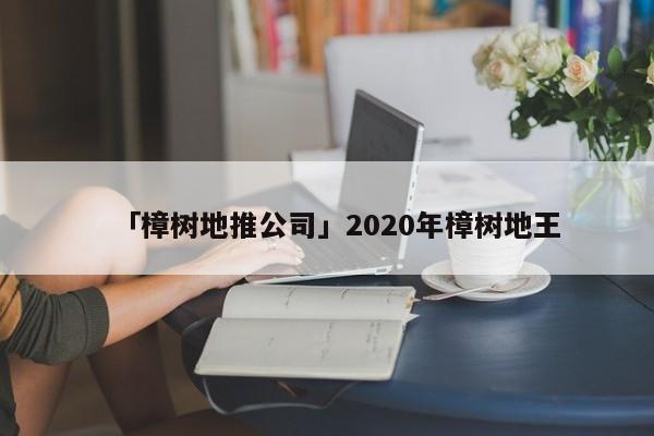 「樟樹(shù)地推公司」2020年樟樹(shù)地王